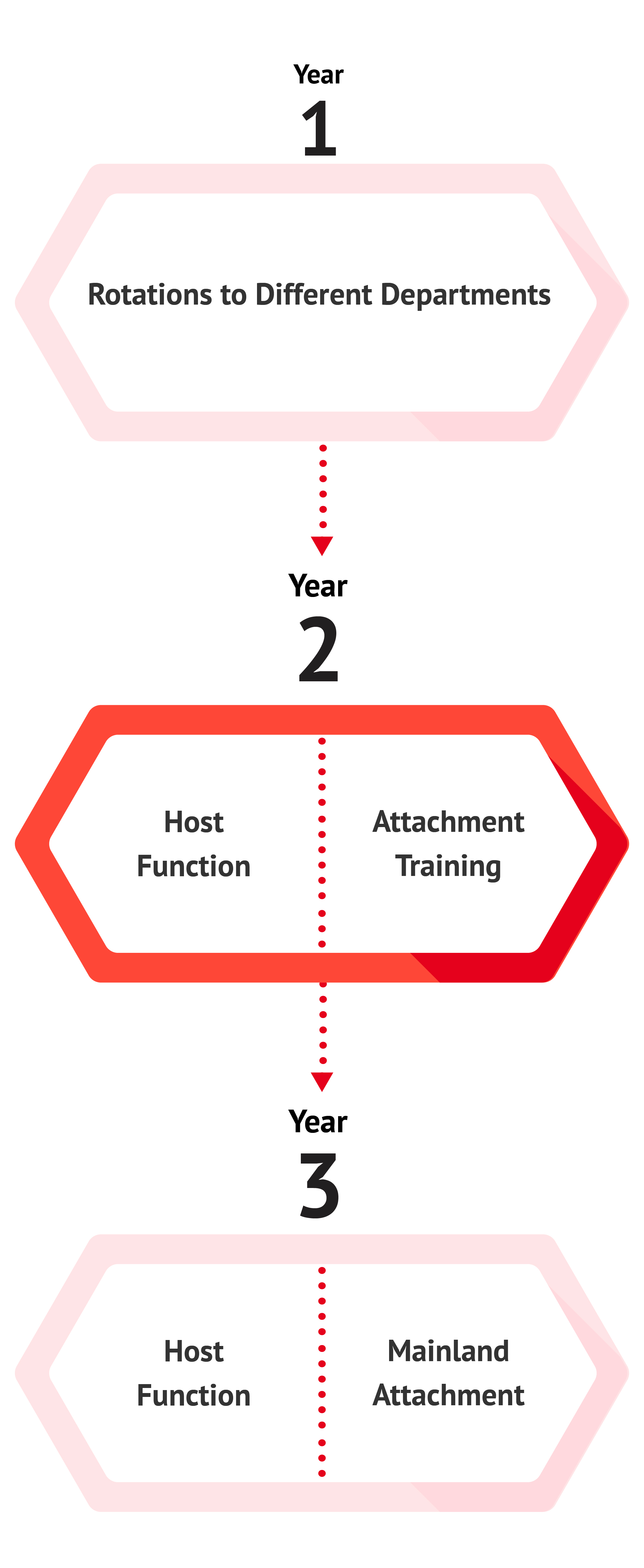 Programme Structure