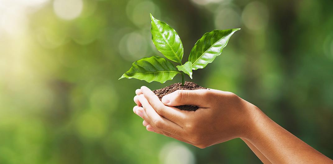 Sustainability Policies