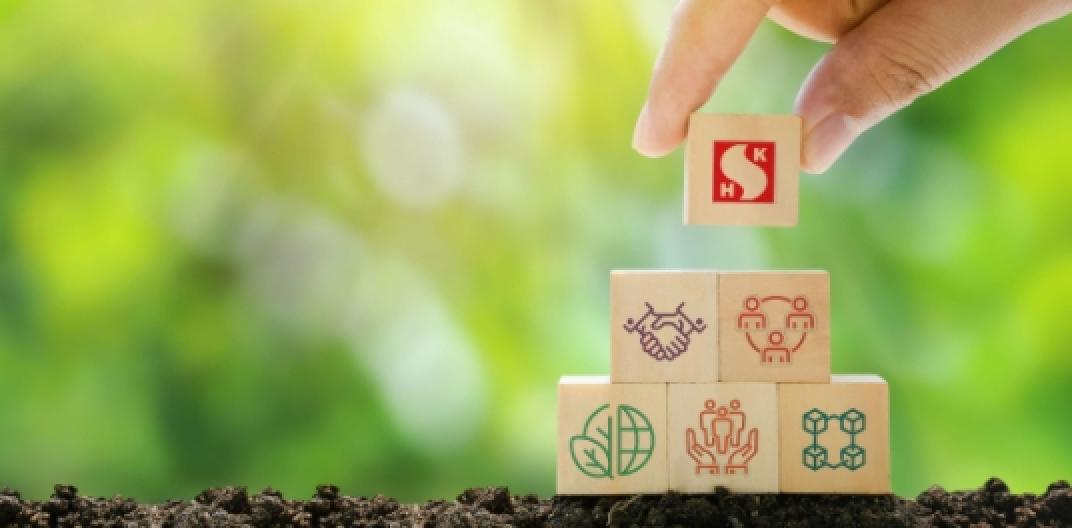 可持续发展策略